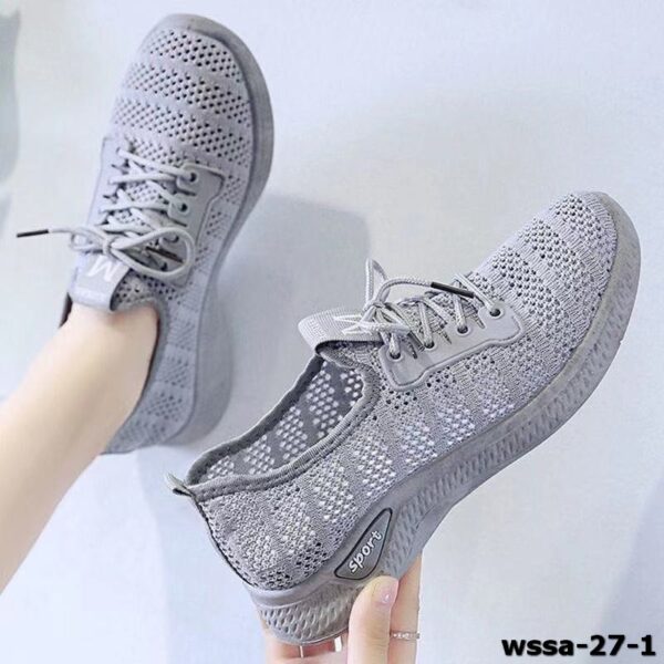 wssa-27-1