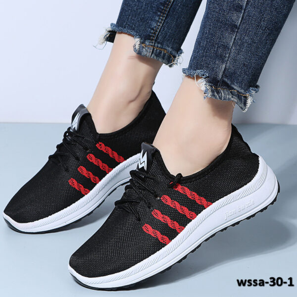 wssa-30-1