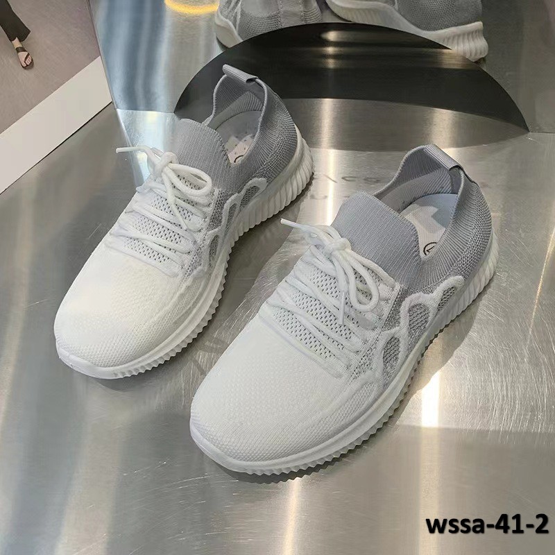 wssa-41-2