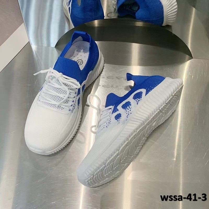 wssa-41-3