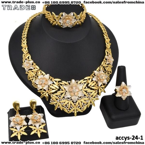 accys-24-1