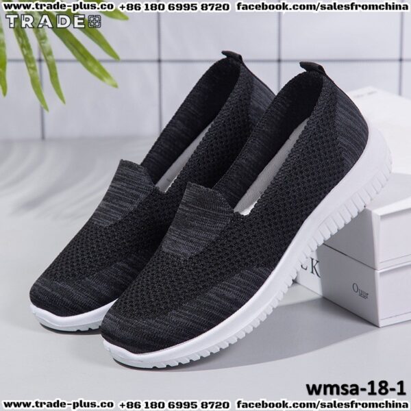 wmsa-18-1
