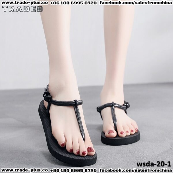 wsda-20-1