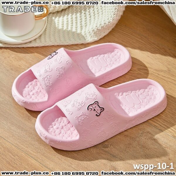 wspp-10-1