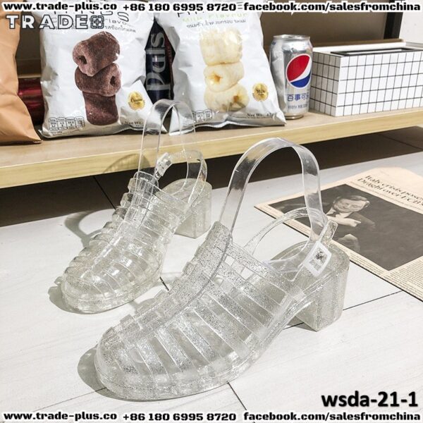 wsda-21-1