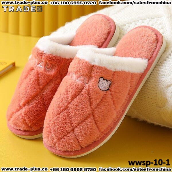 wwsp-10-1