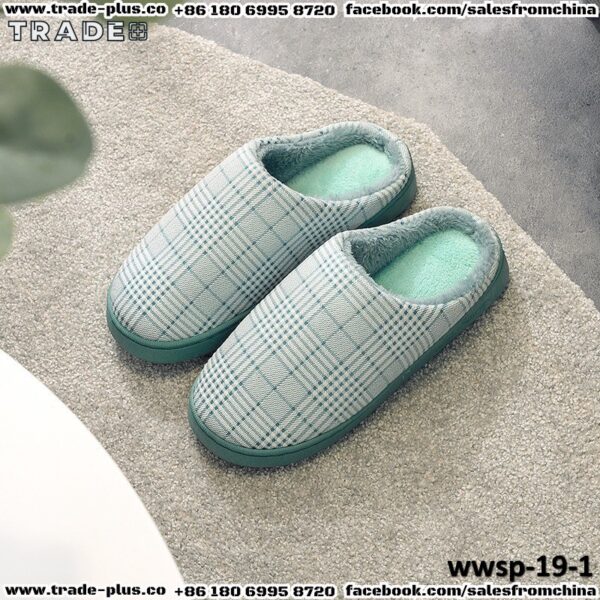 wwsp-19-1