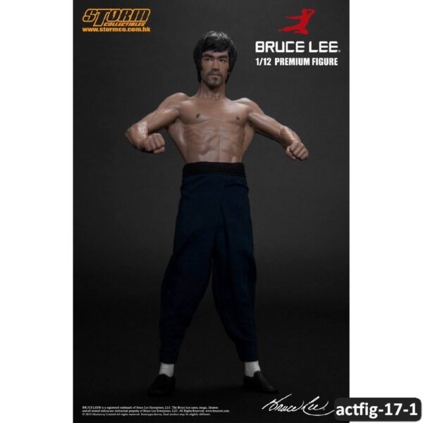 actfig-17-1