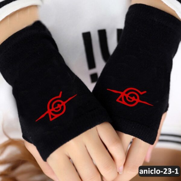 aniclo-23-1