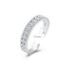 silver-17-info