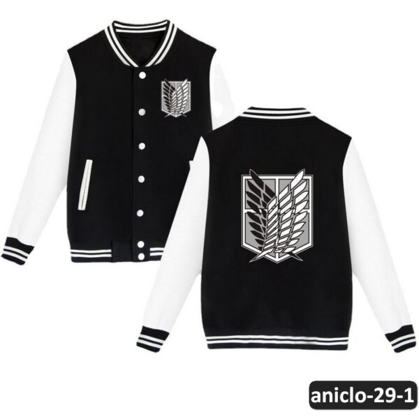 aniclo-29-1