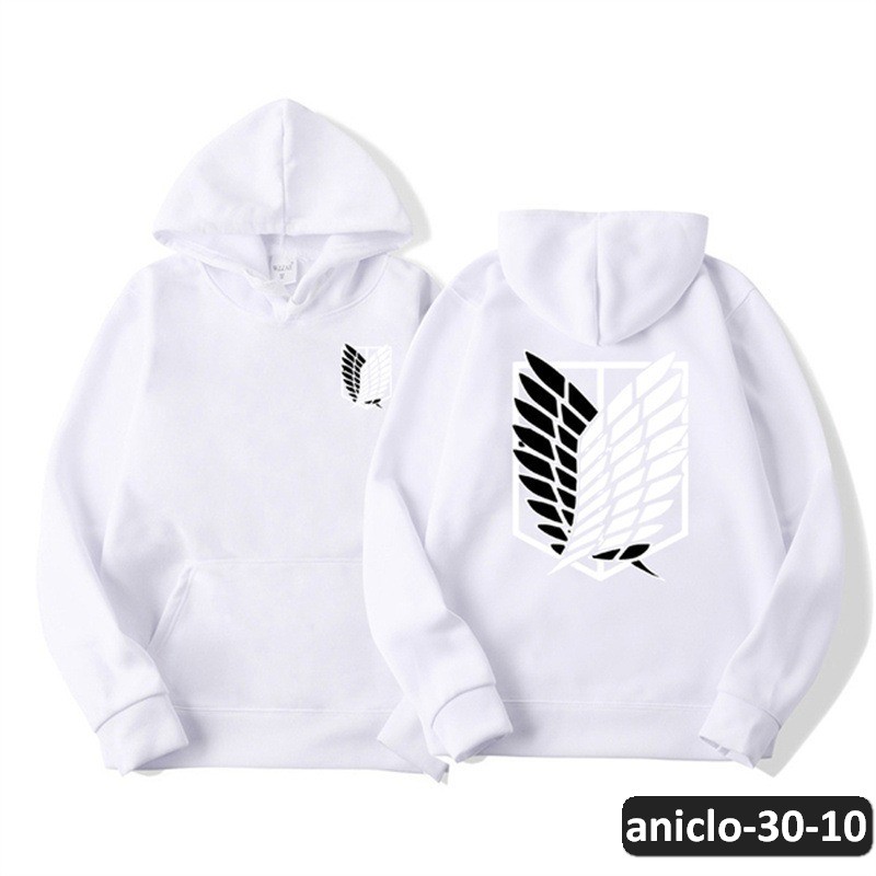 aniclo-30-10