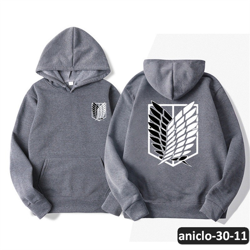 aniclo-30-11