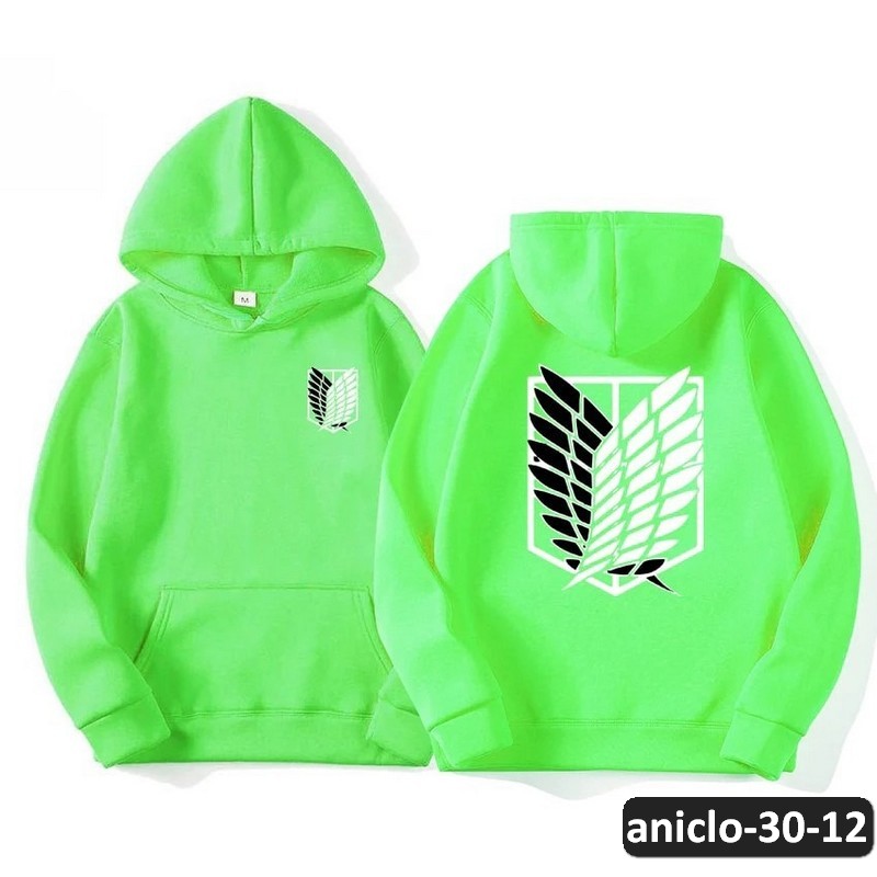 aniclo-30-12