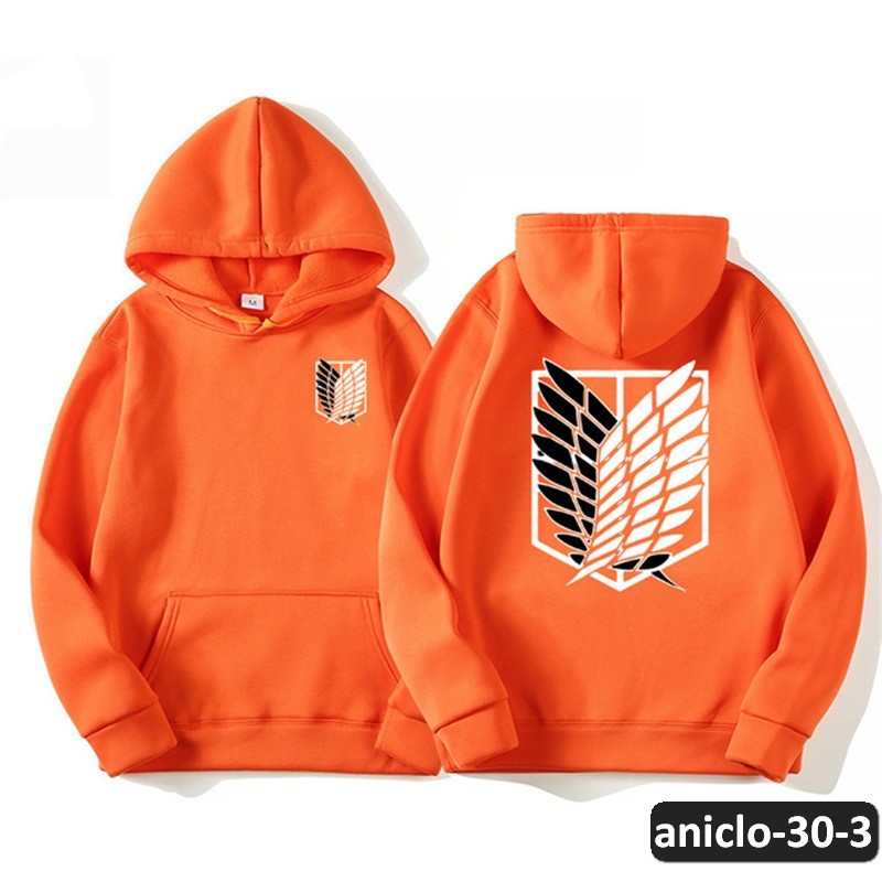 aniclo-30-3
