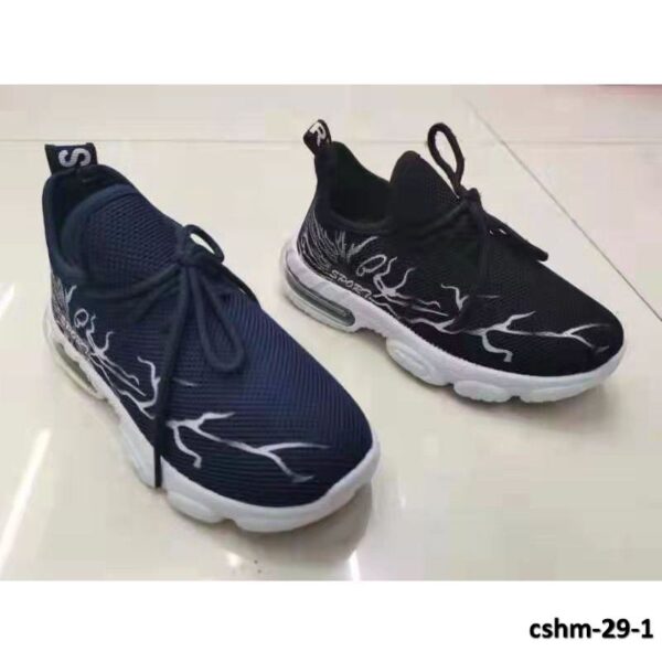 cshm-29-1