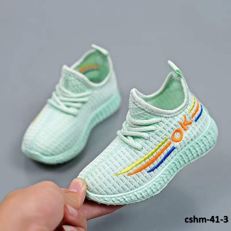 cshm-41-3