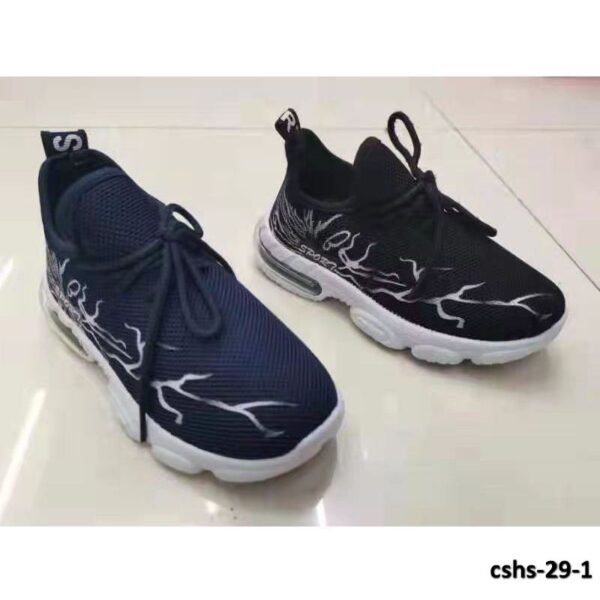 cshs-29-1
