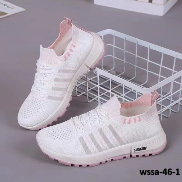 wssa-46-1