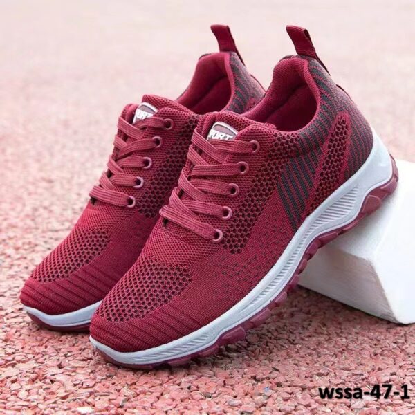 wssa-47-1