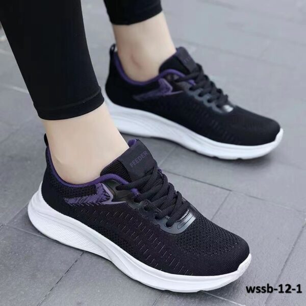 wssb-12-1