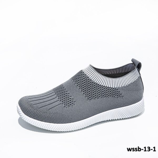 wssb-13-1
