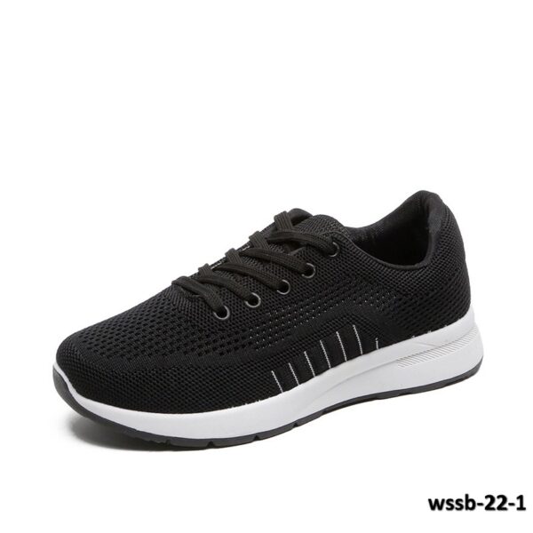 wssb-22-1
