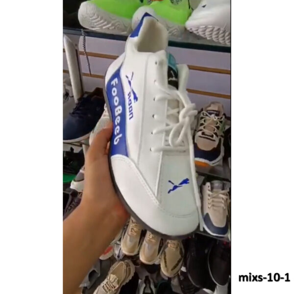 mixs-10-1