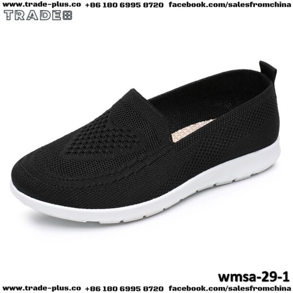 wmsa-29-1