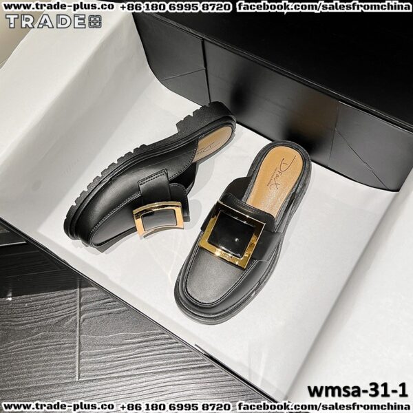 wmsa-31-1