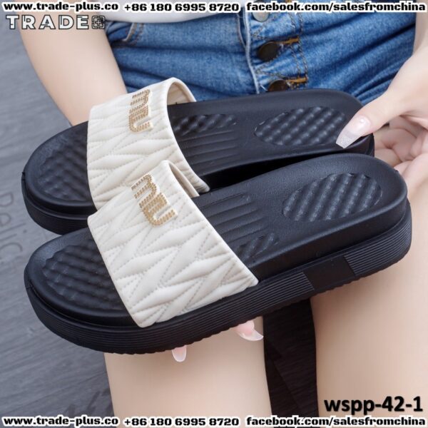 wspp-42-1