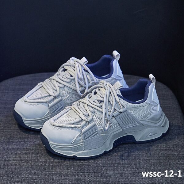 wssc-12-1