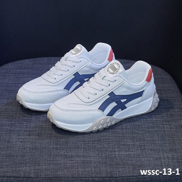 wssc-13-1