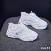 wssc-2-1