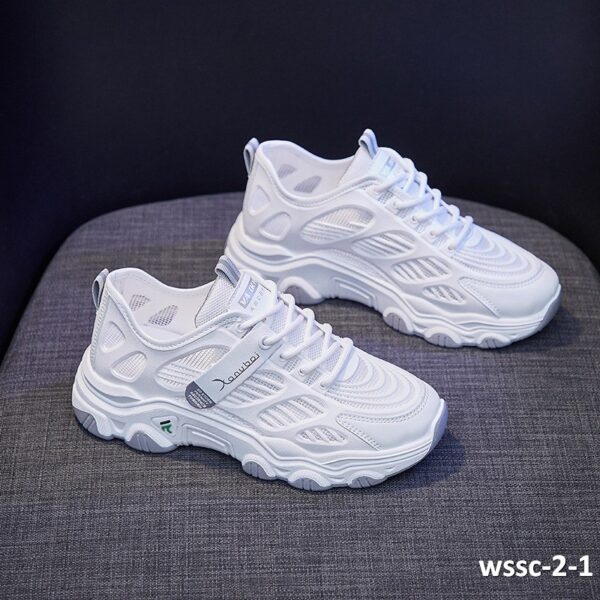 wssc-2-1