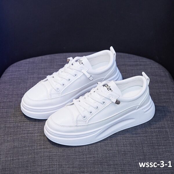 wssc-3-1