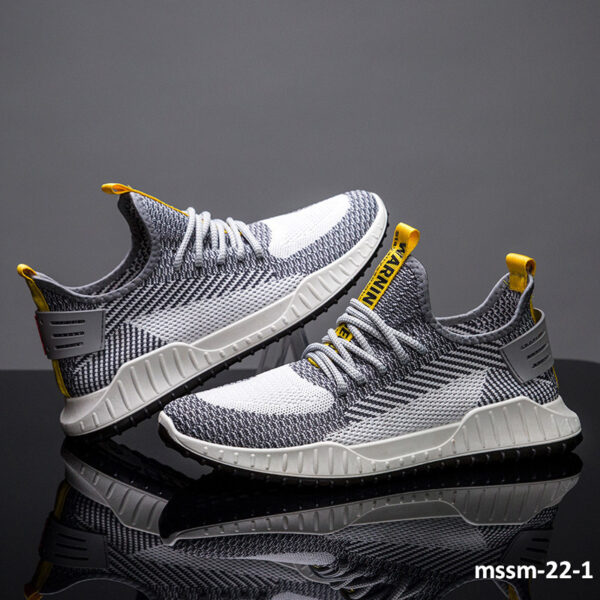 mssm-22-1