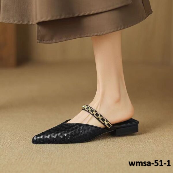 wmsa-51-1