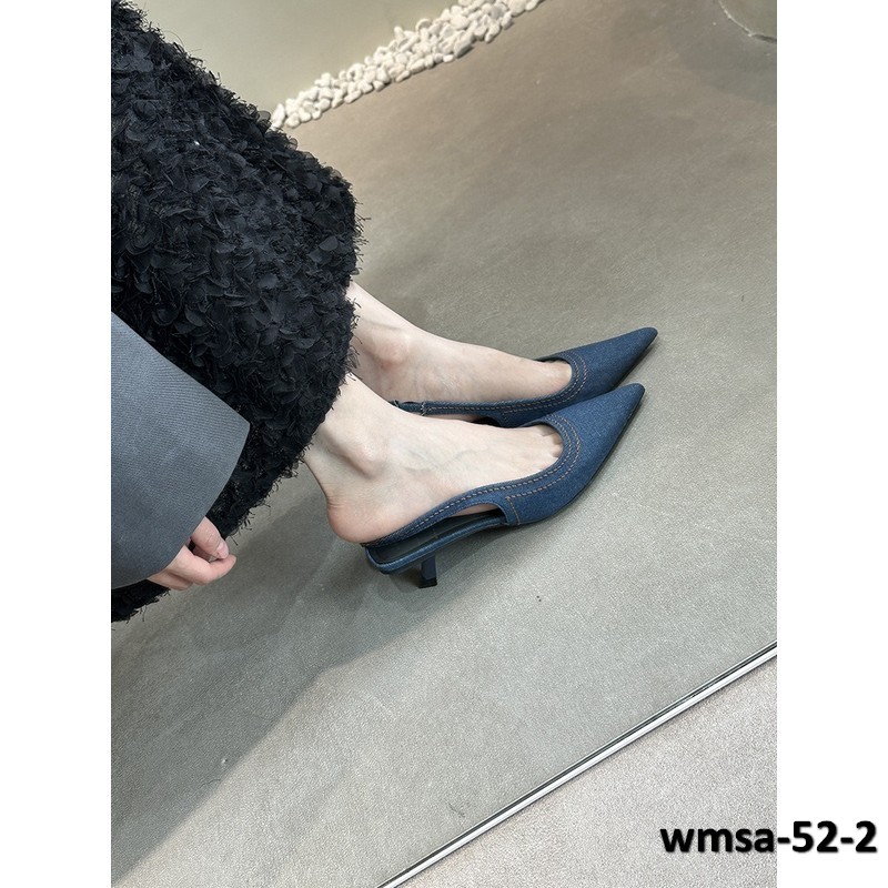 wmsa-52-2
