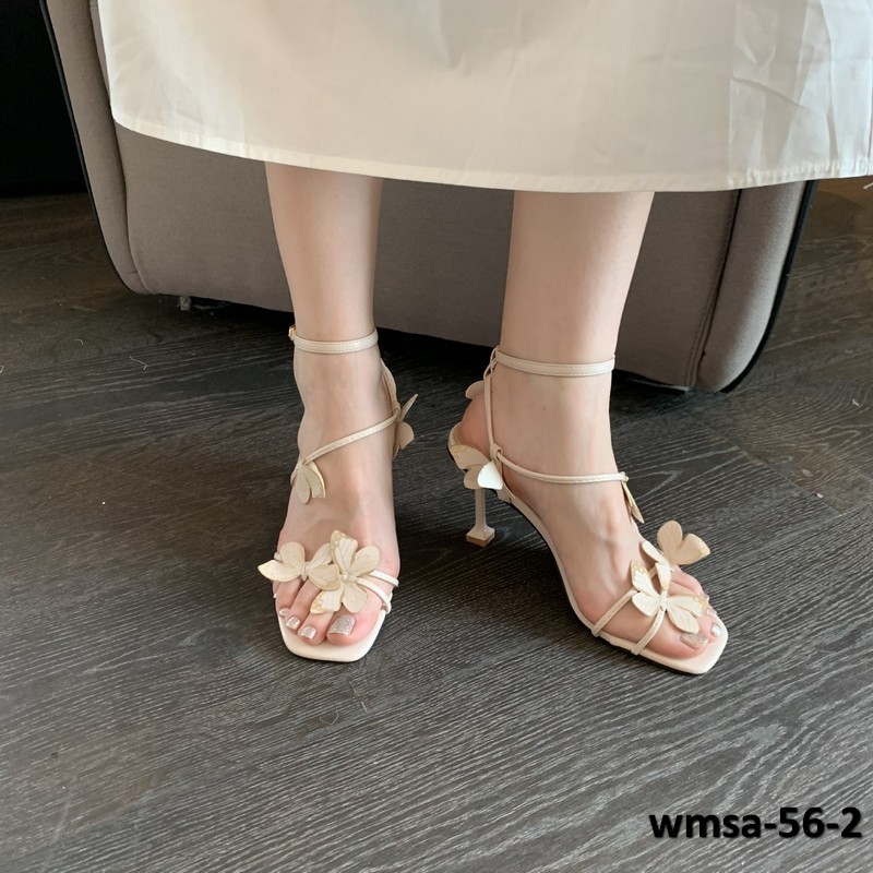 wmsa-56-2