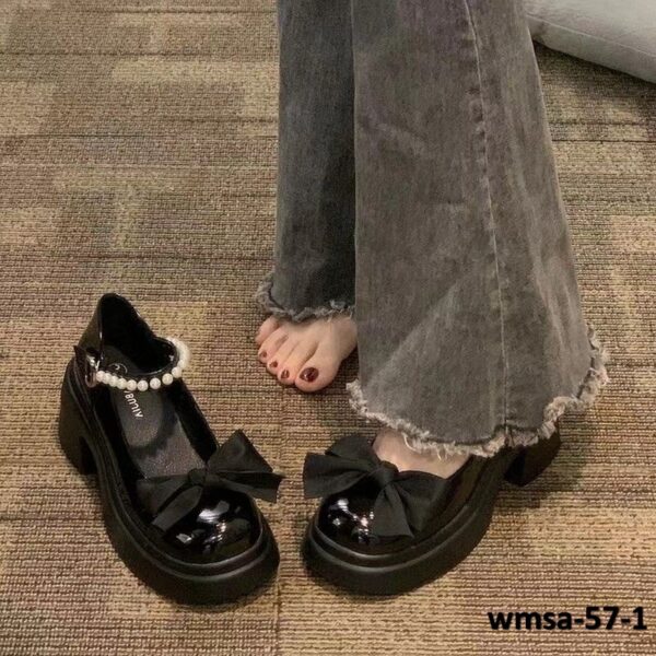 wmsa-57-1