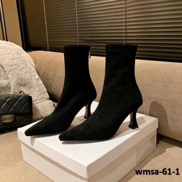 wmsa-61-1