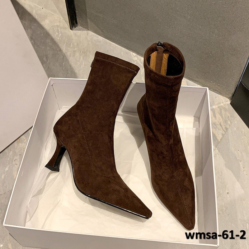 wmsa-61-2