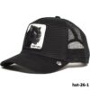hat-26-1
