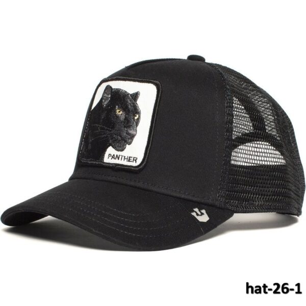 hat-26-1