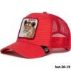 hat-26-19