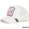 hat-26-22