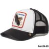 hat-26-29