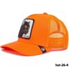 hat-26-4