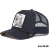 hat-26-46